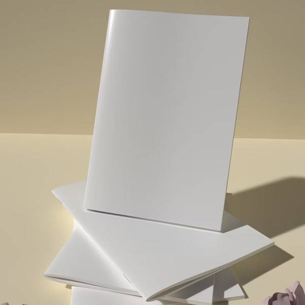 Coated Two Side Art Paper