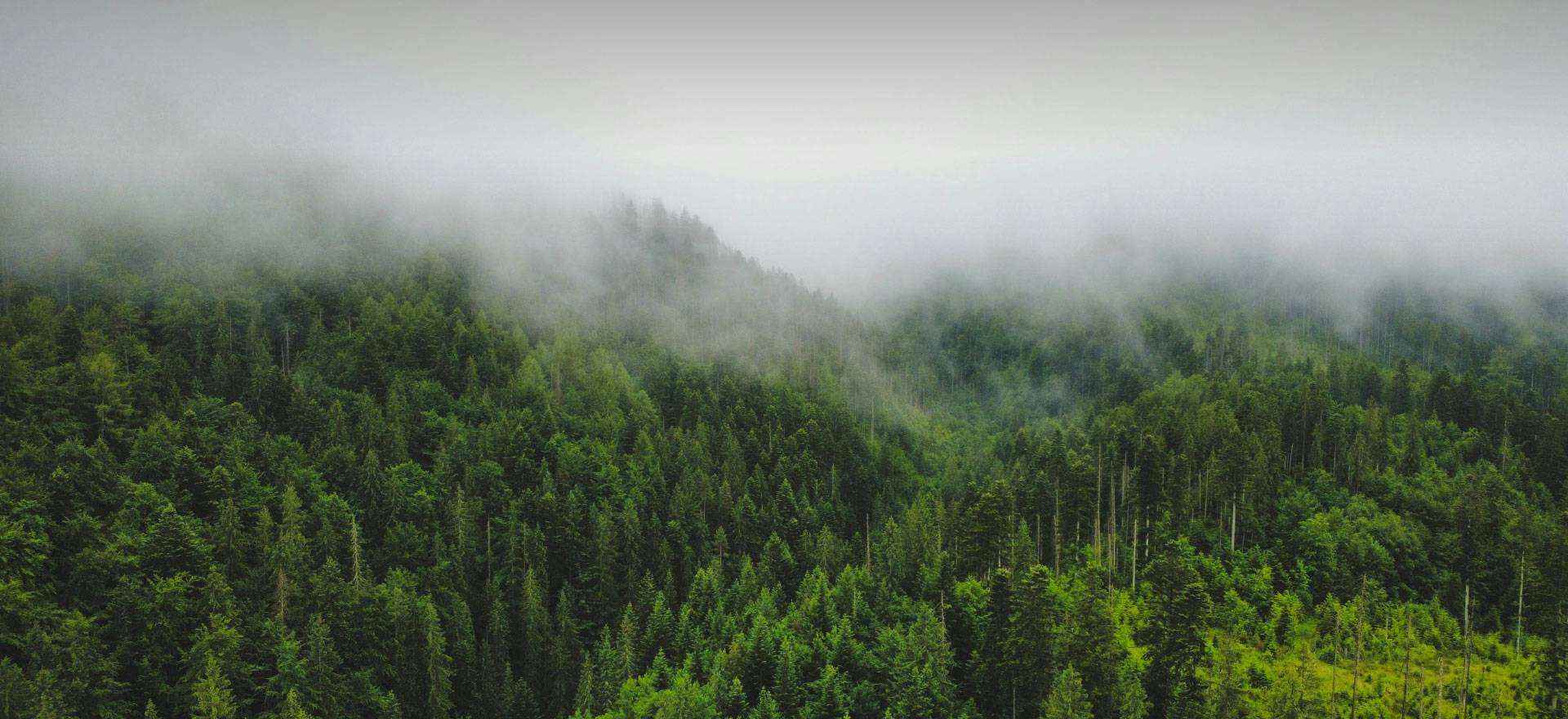 The research and development to achieve perfection